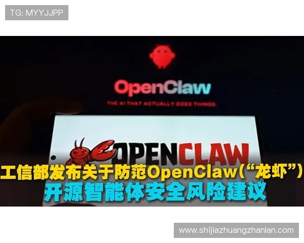 华体会官网安全漏洞防范指南帮助用户识别潜在风险保障账户安全